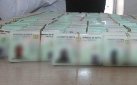 Seeking A Kenyan ID? High Court Ruling To Make You Wait Longer