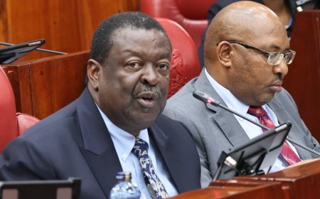 JKIA Is Not For Sale- Mudavadi Explains Govt Agreement With Investors
