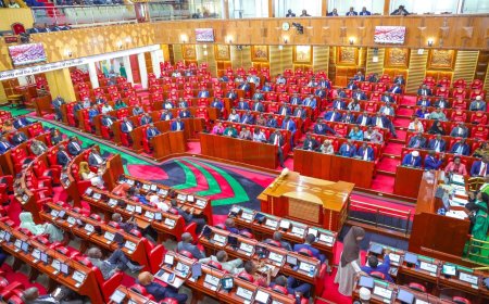 Finance Bill 2024: MPs Call For Punishment Of Colleague Who Claimed He Was Bribed Ksh2M
