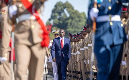 Ruto Makes 23 Appointments, Promotions To KDF [LIST]