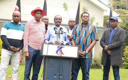 Azimio Rift Widens As Kalonzo Directs These MPs To Reject ODM Cabinet Nominees
