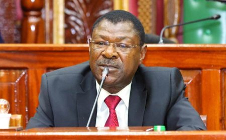Wetangula To Lead 20-Member Team In Vetting Ruto's Nominated CSs