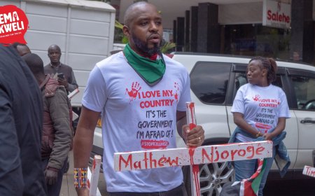 Boniface Mwangi Released