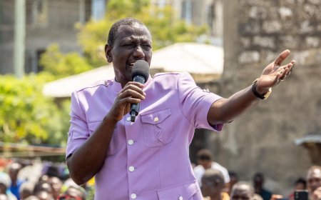 Petition Filed To Block Ruto From Appointing 14 CSs, Including Mbadi, Joho, Oparanya & Wandayi