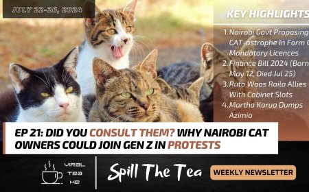 Did You Consult Them? Why Nairobi Cat Owners Could Join Gen Z In Protests