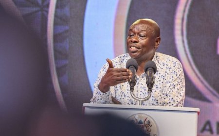 UDA MP Claims Gachagua Impeachment Saga Is A Distraction, Explains Why