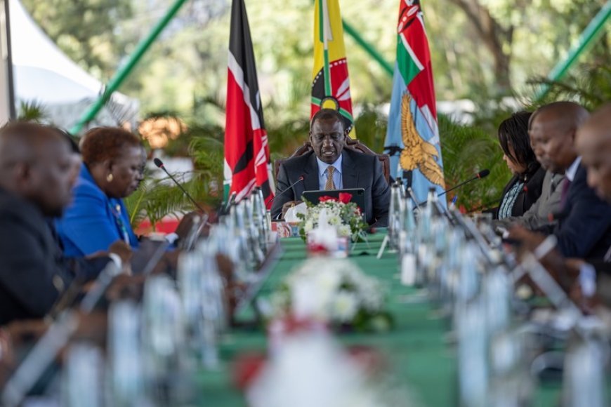 Who Are They? Profile Of New Faces Nominated To Ruto's Cabinet