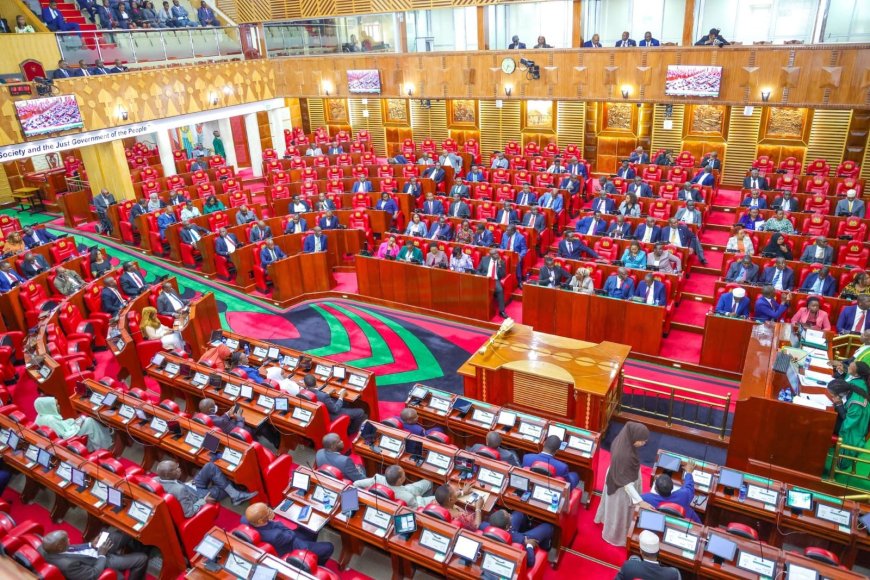 Finance Bill 2024: MPs Call For Punishment Of Colleague Who Claimed He Was Bribed Ksh2M