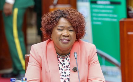 Let Them Come For Me- Lands CS Nominee Alice Wahome Dares Cartels