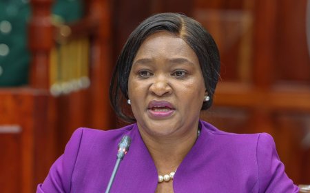 Rebecca Miano: Tourism CS Nominee Defends Hike In Maasai Mara Entry Fees By 100 Percent