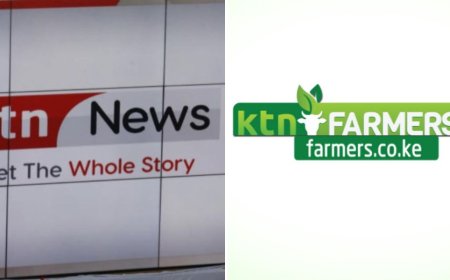 EXCLUSIVE: KTN News, KTN Farmers Go Off Air, Insiders Explain