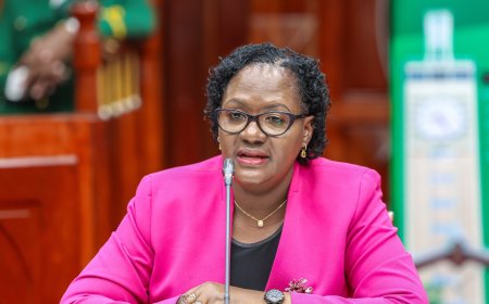 National Assembly Explains Rejecting Stella Soi Lang’at's CS Nomination In 243-Page Report