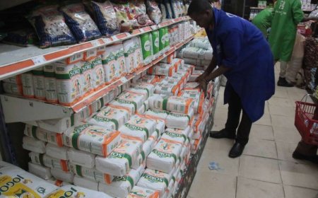 Inside Proposed Bill To Allow Govt To Control Price Of Maize Flour & 7 Others