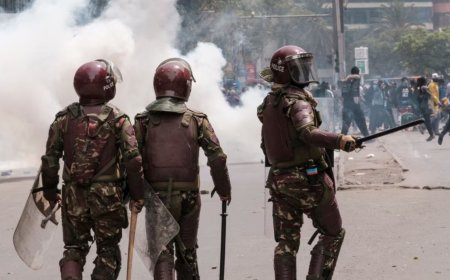 Police Did Not Target Journalists- Spokesperson On Nane Nane Protests