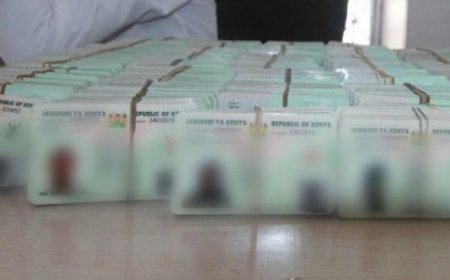 High Court Allows Rollout Of Maisha Namba