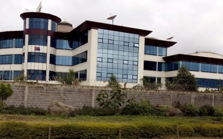 Veteran Journalist Chaacha Mwita Quits Standard Group Board