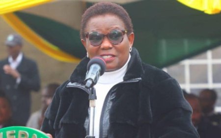 Kawira Mwangaza To Face All Senators As Proposal For Committee Rejected