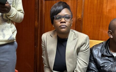 Cyber Bullying & 2 Charges Slapped On Maverick Aoko