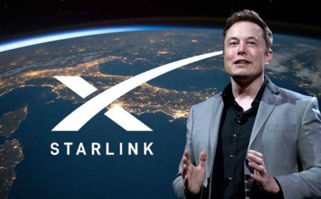 Kenya Govt Urged To Tame Elon Musk's Starlink