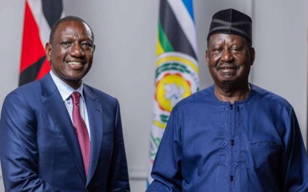 Raila AUC Campaign: Ruto Picks Former Kenya-US Envoy, PS Sing'oei To Run Team Of 7