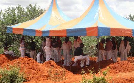 6 Govt Officials Cornered In Probe On Shakahola Massacre