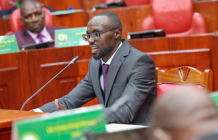 Eric Muriithi Mugaa: MP Sends Stern Warning To Youngest Nominated CS