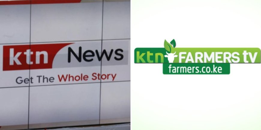 EXCLUSIVE: KTN News, KTN Farmers Go Off Air, Insiders Explain