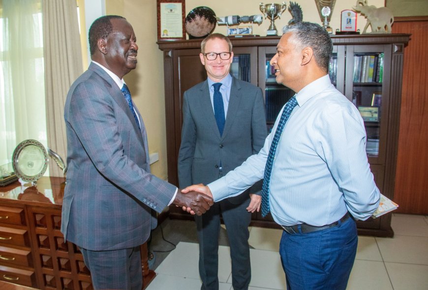 Raila Meets Germany & UK Ambassadors To Enhance AUC Bid