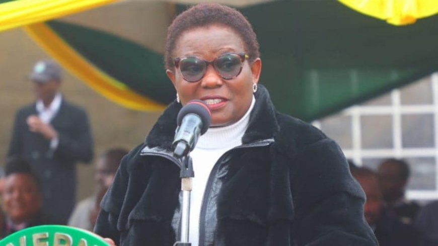 Kawira Mwangaza To Face All Senators As Proposal For Committee Rejected