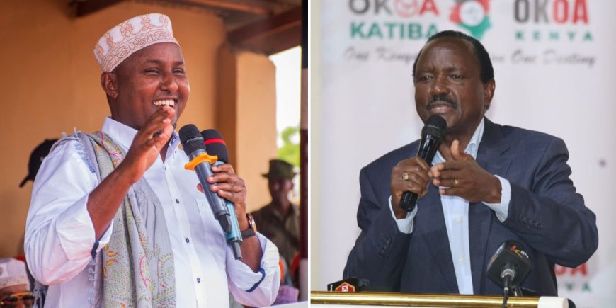 Junet Mohamed Is Joking- Kalonzo Bites Back On Opposition Leader Affirmations