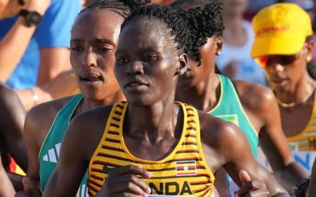 Ruto's Advisor Reveals Next Steps After Rebecca Cheptegei Death