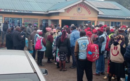 Hillside Endarasha Tragedy: How Timber Played Part In Fire That Killed 17 Pupils