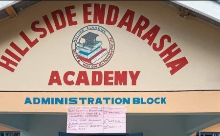 Govt: All Pupils From Hillside Endarasha Academy Fire Accounted For, 3 Interventions Taken