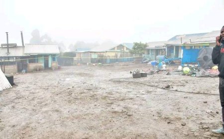 DPP Issues Firm Instructions To Acting Police IG Masengeli Over Hillside Endarasha Academy Fire