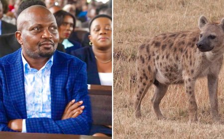 Moses Kuria Links 'New Species' To Increased Hyena Attacks In Juja