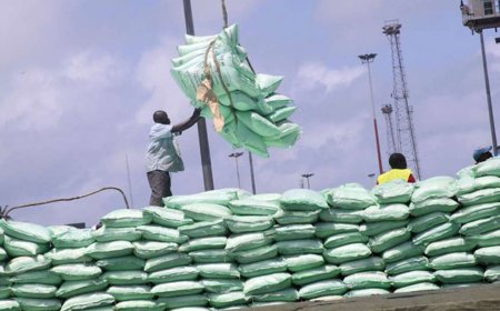 Kenya Govt Stops These Countries From Importing Sugar
