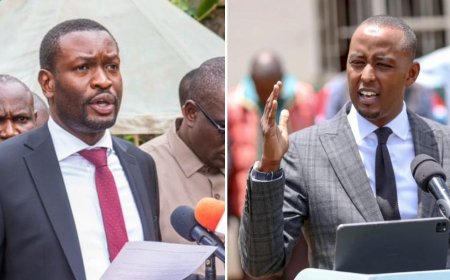 Sifuna Calls Out State House For Denying That ODM MPs Skipped Meeting With Ruto