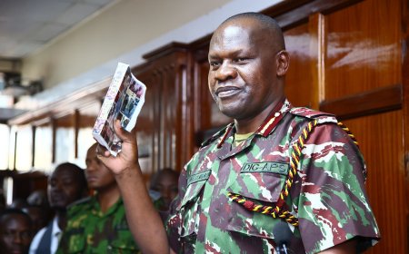 Gilbert Masengeli Set Free As Court Throws Out 6-Month Jail Sentence