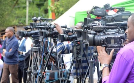 OORO: Media Bosses Should Create Room for Content Distinction Inclusive of LGBTQIA+ Consumers