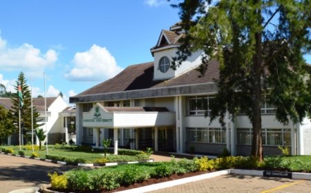 Karatina University Closed Indefinitely After Violent Protests