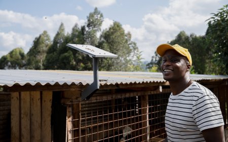 Starlink Mini Available In Kenya As Competition For Cheaper Internet Increases [PRICES]