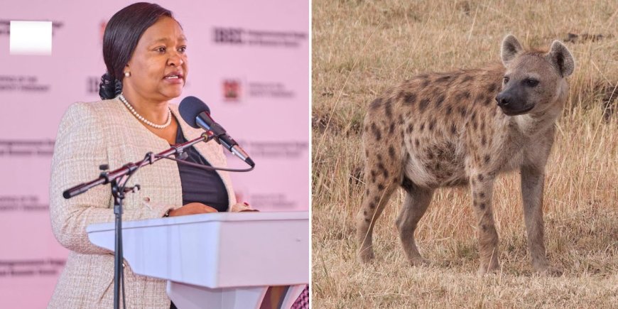 All Hyenas To Be Removed From Juja- CS Rebecca Miano To KWS