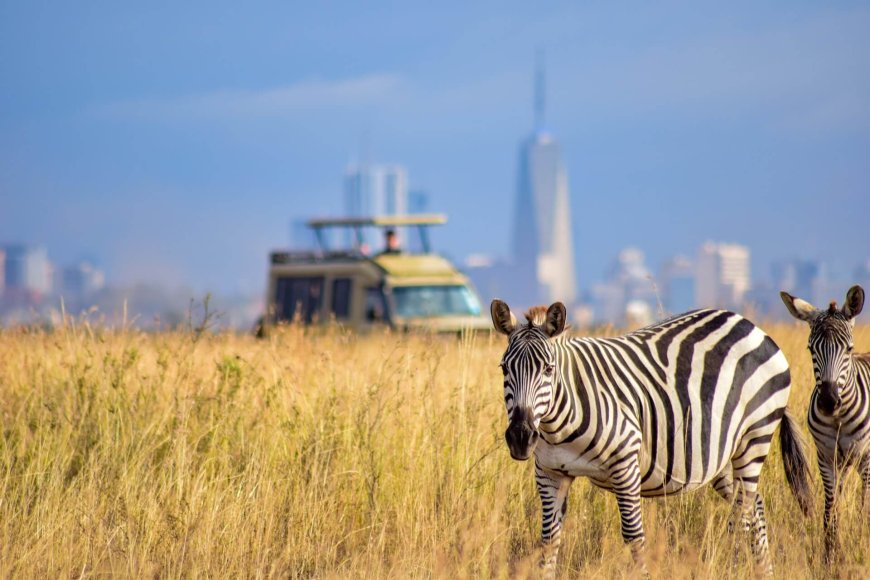 Cabinet Reveals Date For Kenyans To Access All National Parks For Free