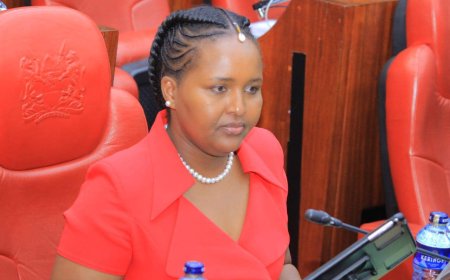 One Key Issue Of Allowing Gachagua's Impeachment To Succeed- Naisula Lesuuda