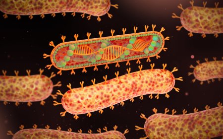 How Kenya Is Preparing To Counter Any Possible Marburg Virus Outbreak