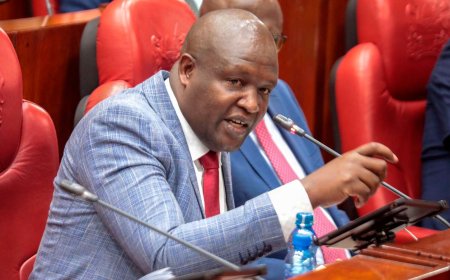 Governor Erick Mutai To Face All Senators In Impeachment Hearing