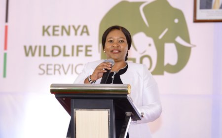 CS Rebecca Miano Takes Action After German Ambassador Left Stranded Due To eCitizen