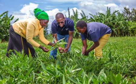 OORO: Why Regenerative Farming Should Take Center Stage in Sustainable Conversation
