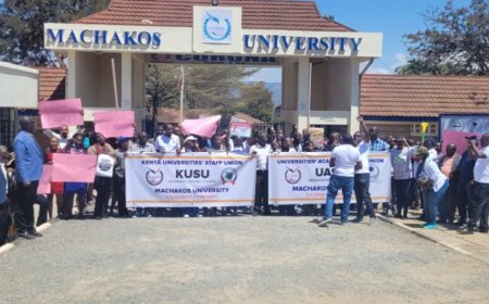 University Lecturers Announce Fresh Strike After Govt Fails To Honour Promise