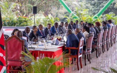 I Feel Sorry For Women Who Wanted A Female Deputy President- Ex-Ruto CS